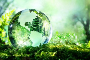 Sustainability (ESG) Reporting Trends in N.America