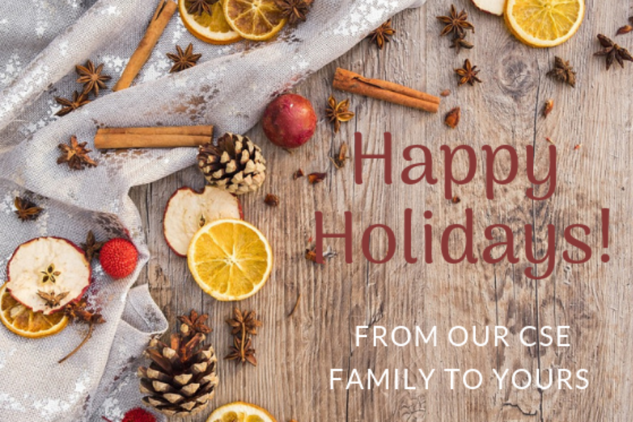 CSE Celebrates a Successful Year and Our Vision for 2019