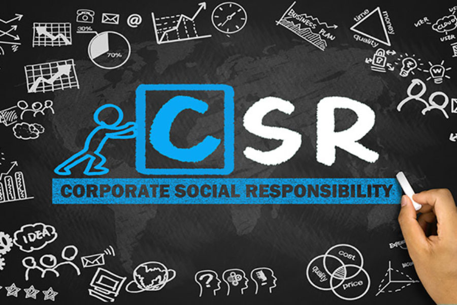 The 5 skills that will land you a job in Sustainability (CSR)