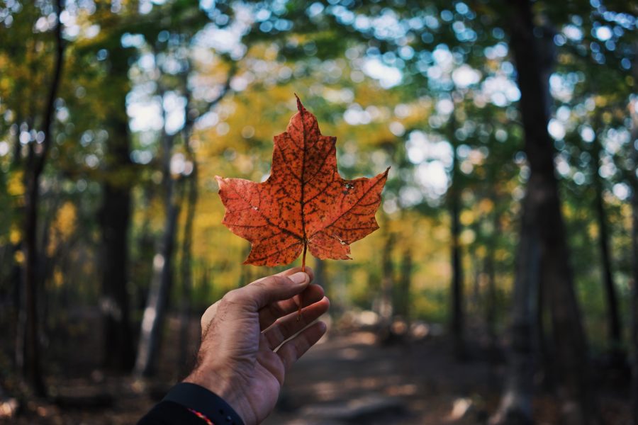 Canada’s Sustainability Boom – 18 companies you may want to work for