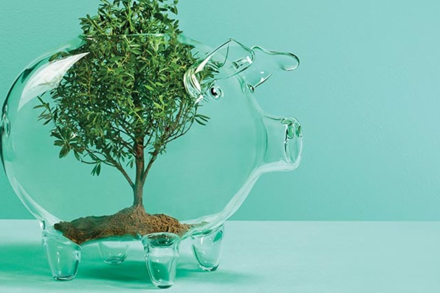 Canada to Lead Sustainability Finance –8 ways to influence sustainable growth