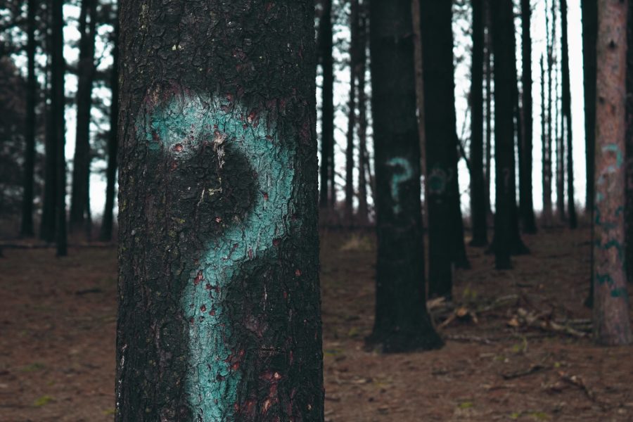What to Expect: FAQs about Training
