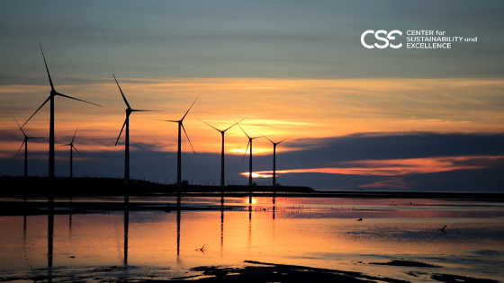 How is the COVID-19 crisis affecting clean energy ambitions?