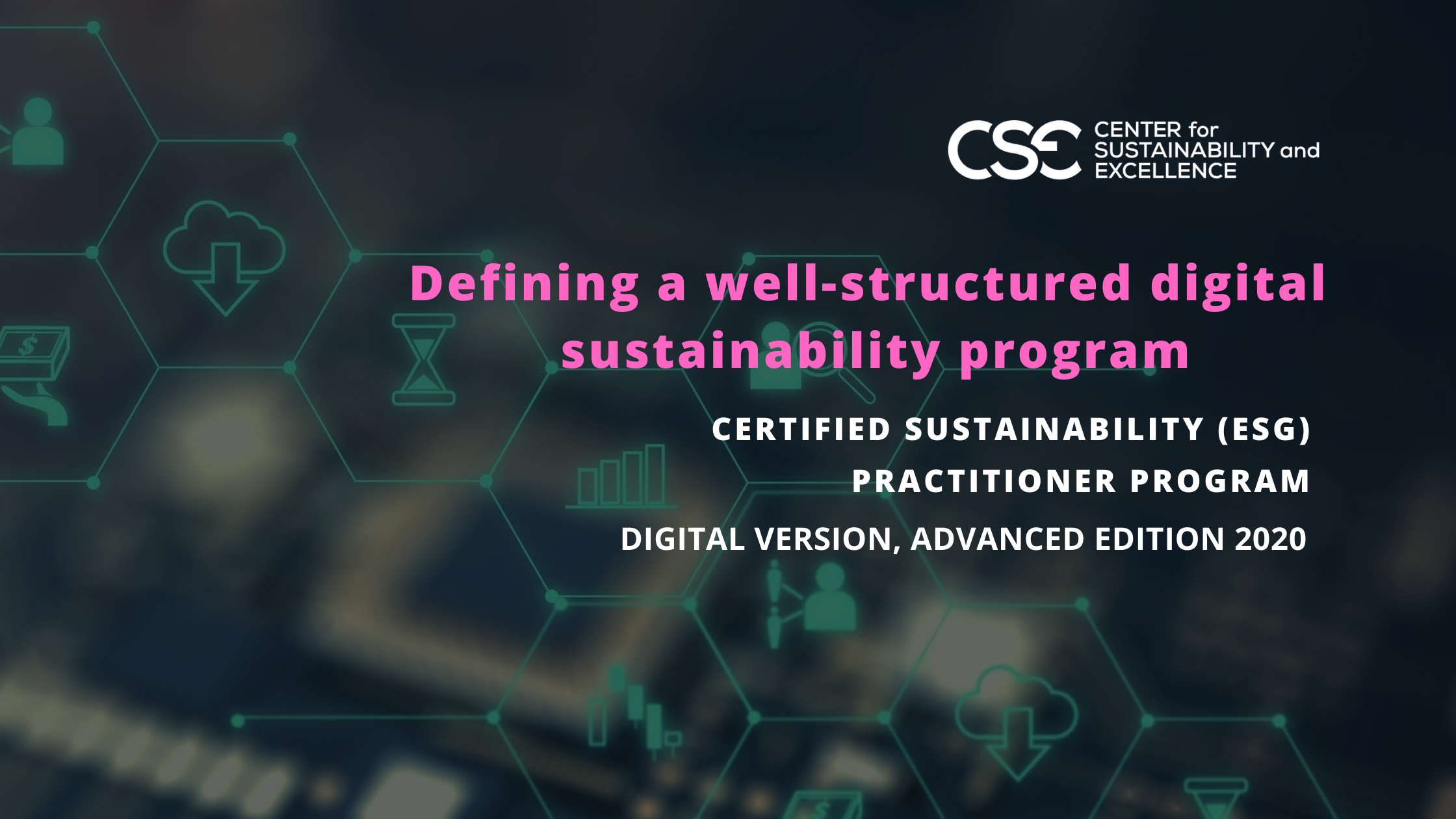 Defining a well-structured digital sustainability program