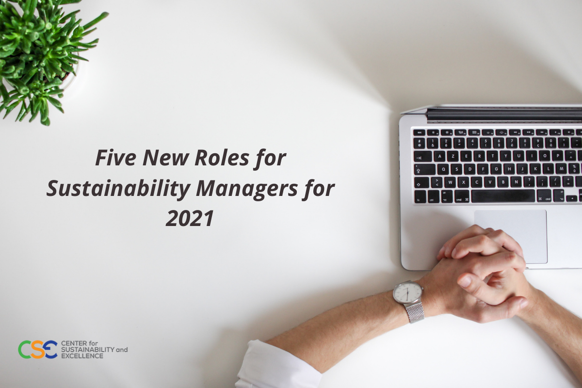 Five New Roles For Sustainability Managers In 2021 Centre For 