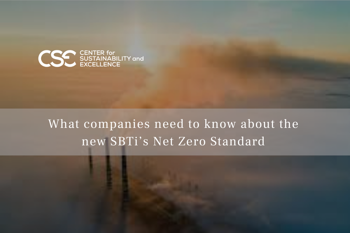 What companies need to know about the new SBTi’s Net Zero Standard