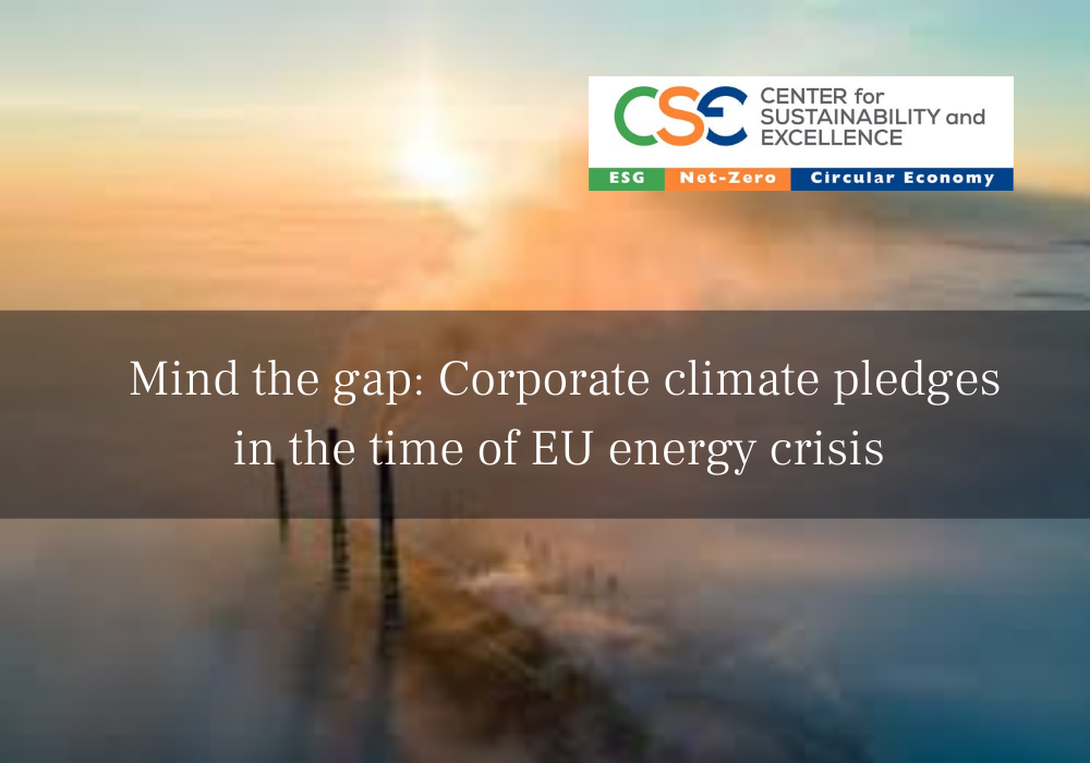 Mind the gap: Corporate climate pledges in the time of EU energy crisis