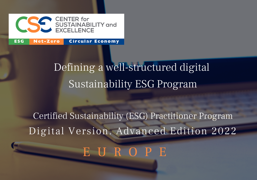 Defining a well-structured digital sustainability program