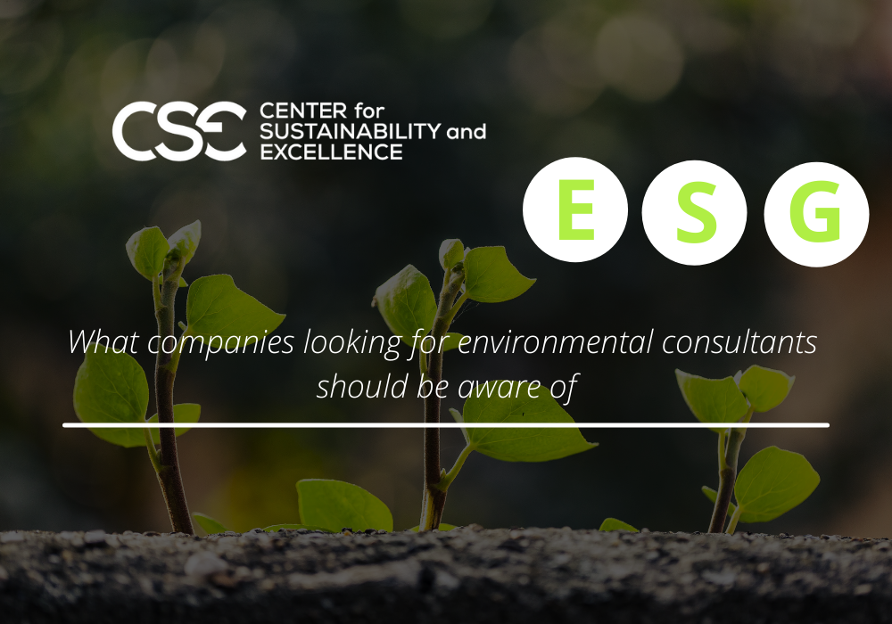 What companies looking for environmental consultants should be aware of