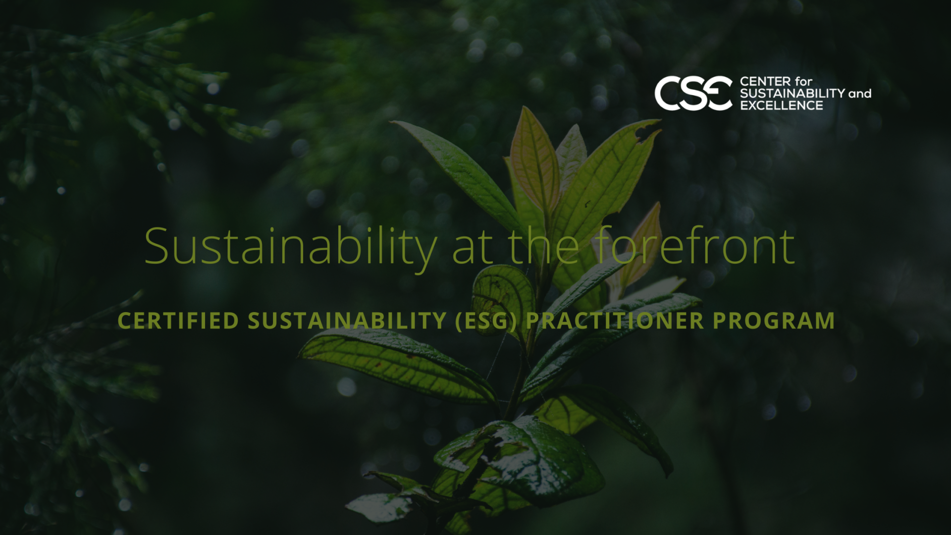 Sustainability Leaders from all over the globe join the digital Certified Sustainability (ESG) Program
