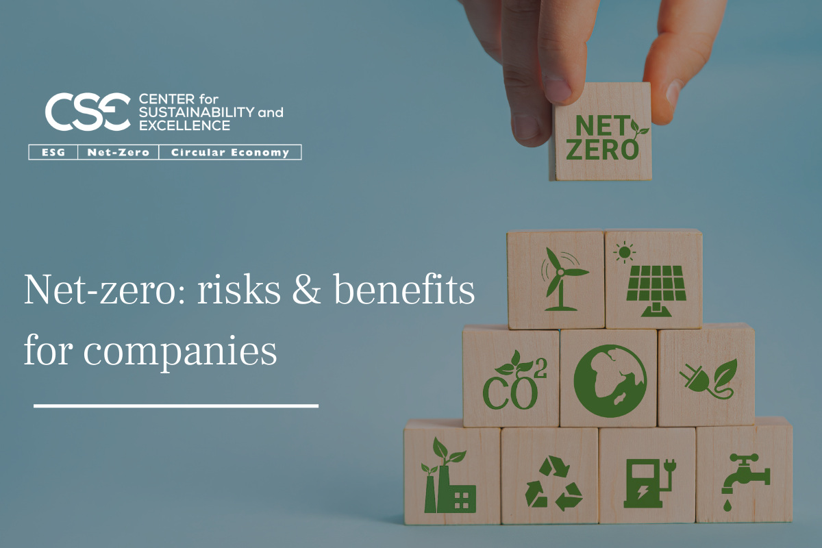 Threats to consider and scopes to identify when going net zero
