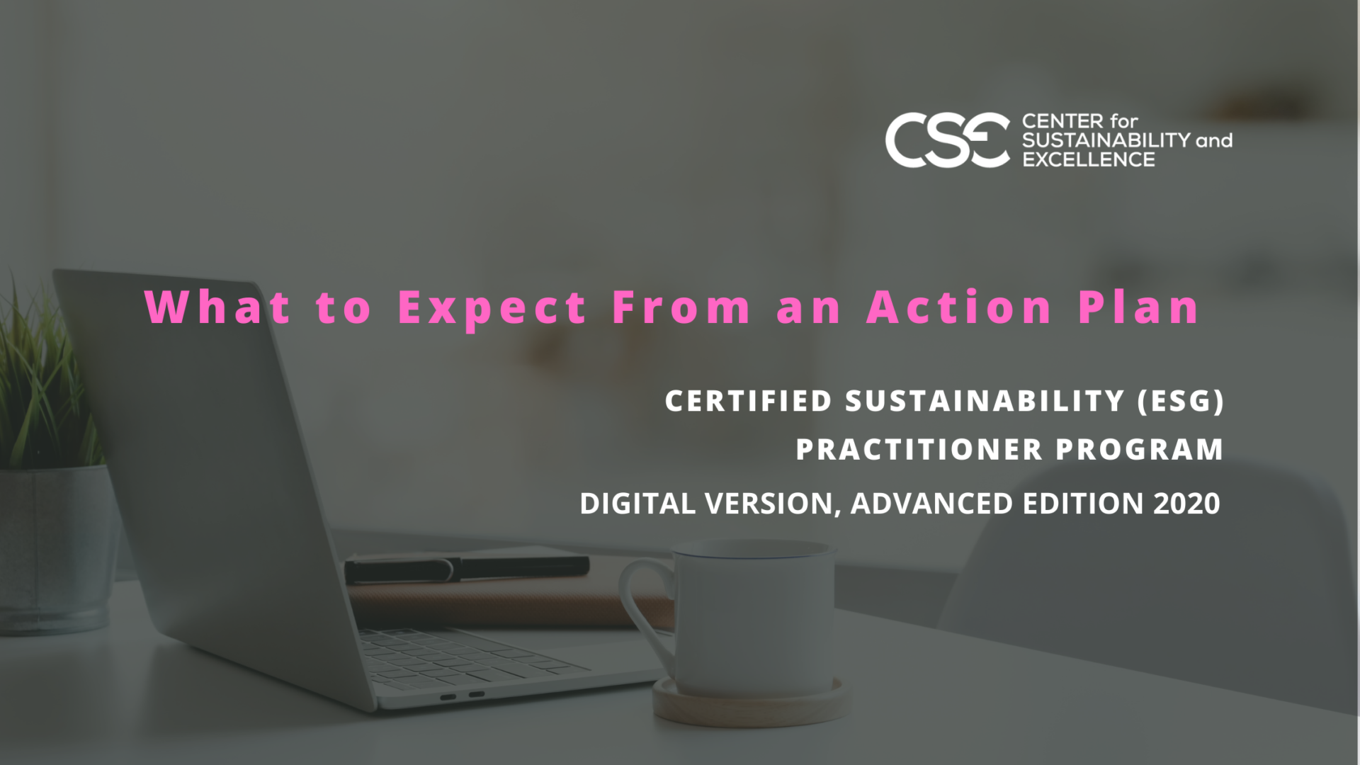 Part 1 in our series What to Expect from a Digital Sustainability Training