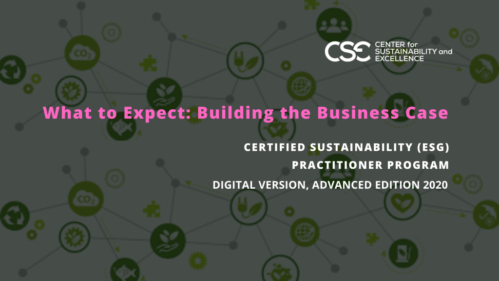 Part 3 in our series What to Expect from Digital Sustainability Training