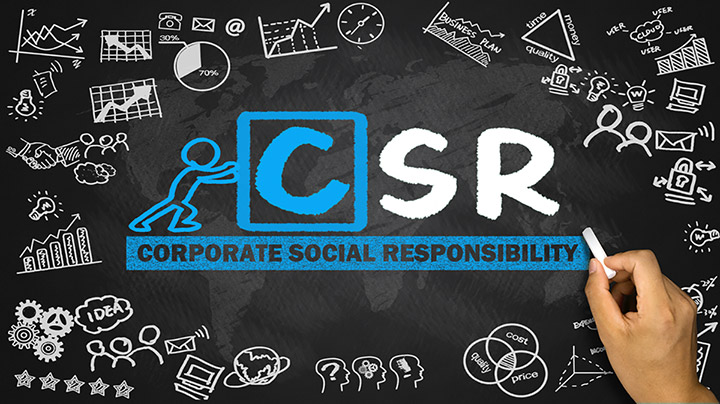 The 5 skills that will land you a job in Sustainability (CSR)