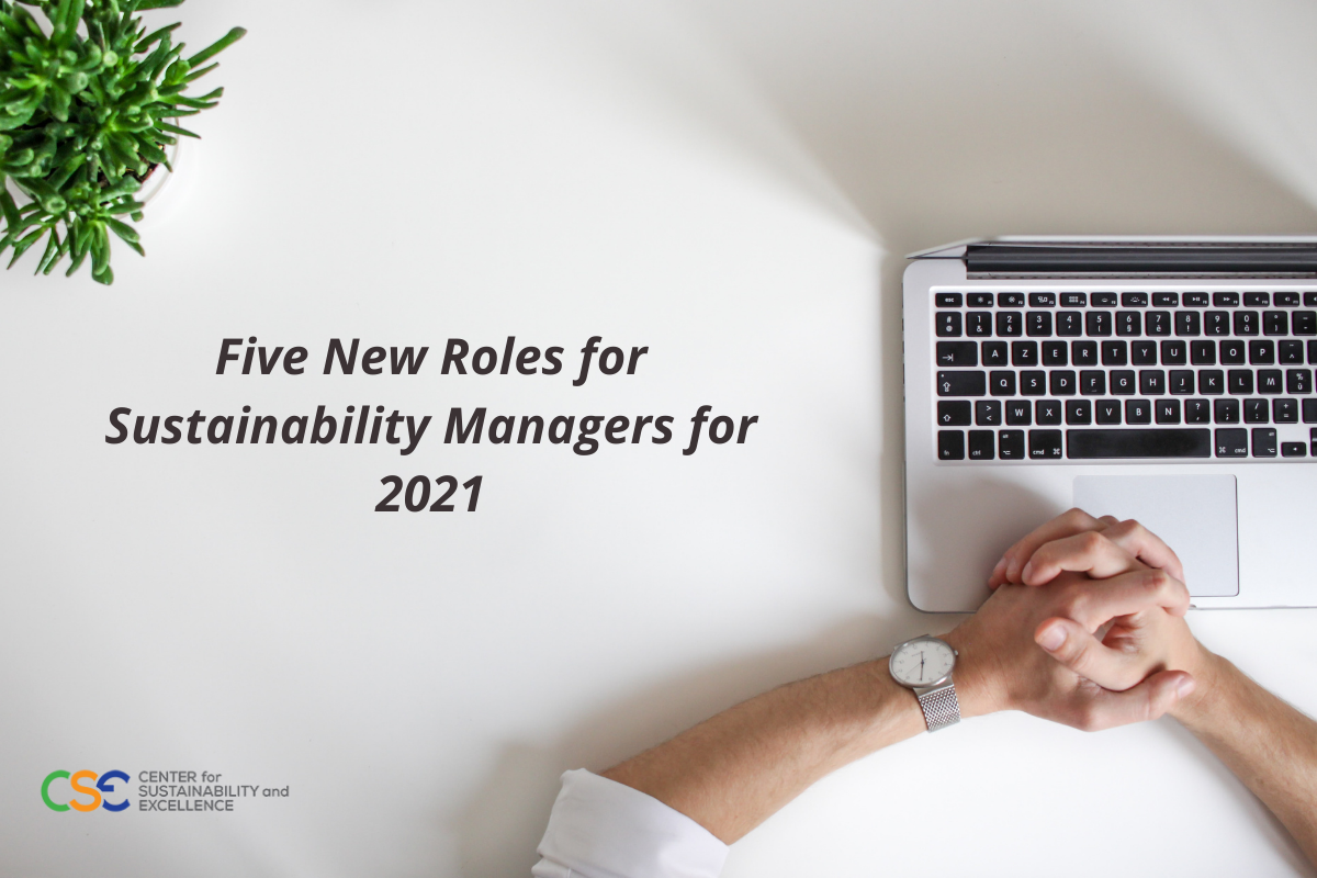 Five New Roles for Sustainability Managers in 2021