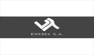 Enesel logo