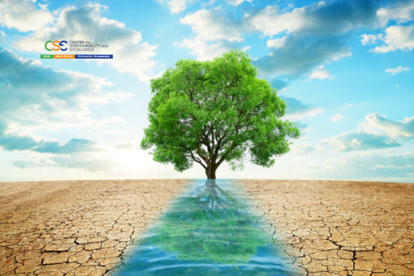 Water Scarcity and Climate Resilience