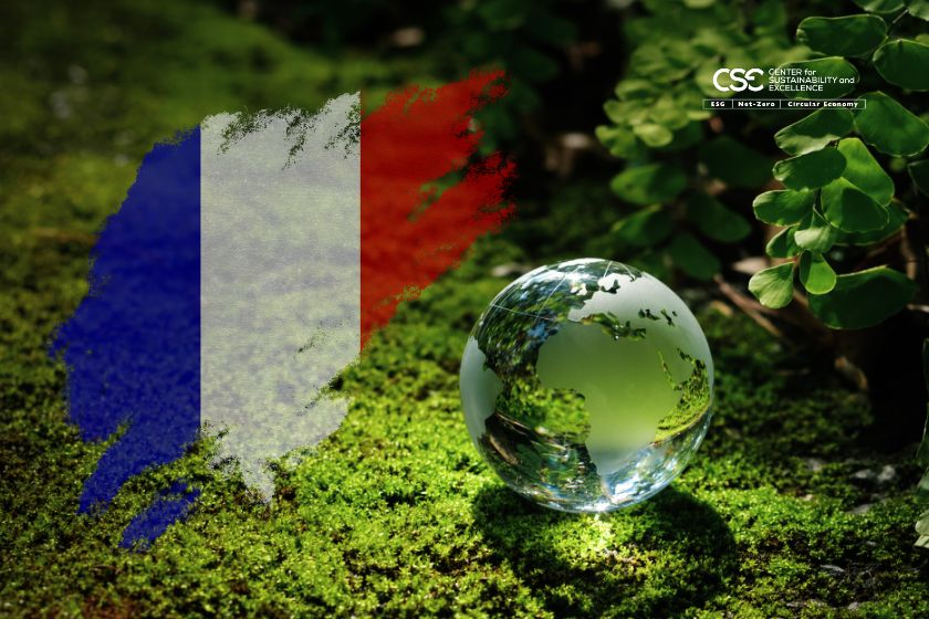 What CEOs need to know about CSRD in France?