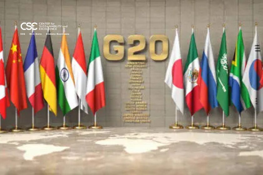 G20