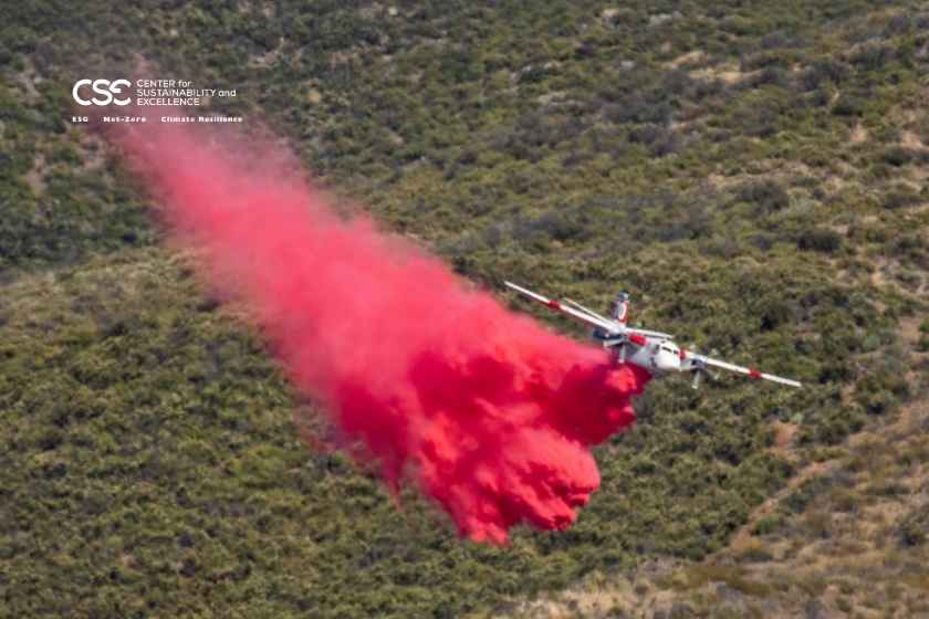 Rebuilding Los Angeles after wildfires