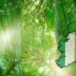 El auge de la ESG en Irlanda Lo que los expertos en sostenibilidad deben saber ahora