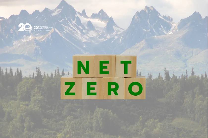 Canada's Net-Zero Electricity Grid