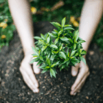 Canada gestion des forêts ESG