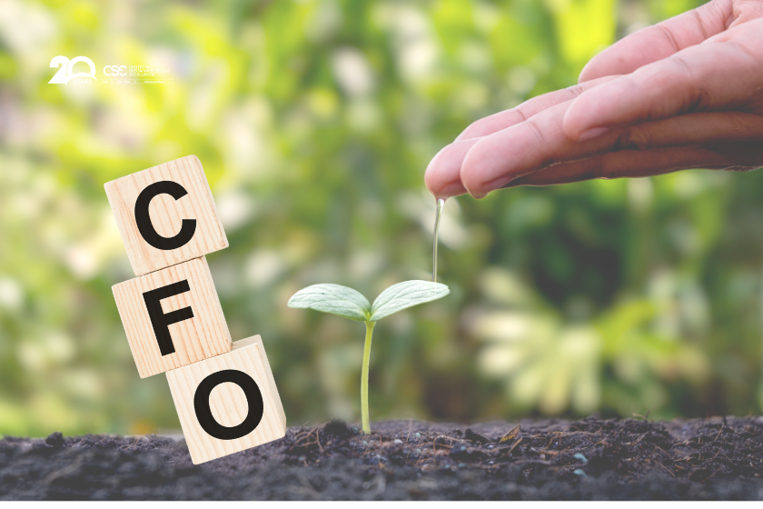 Sostenibilidad de los CFOs ROI a largo plazo