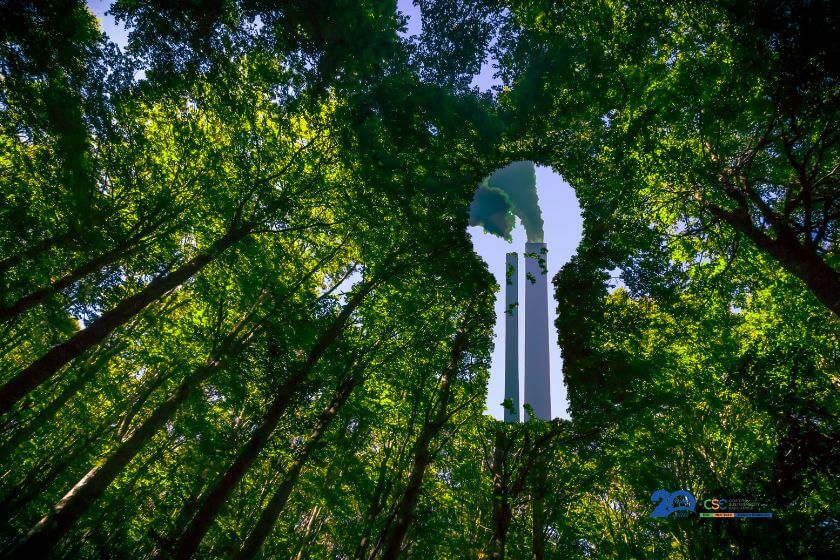 greenwashing regulation