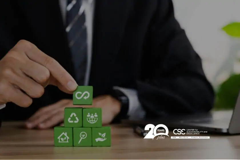 Product Circularity in Sustainability Strategy