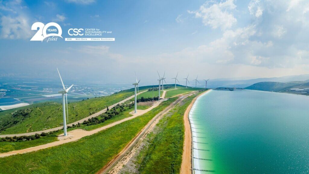 Por qué los consultores ESG de sostenibilidad deben dominar la resiliencia climática